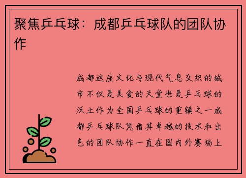 聚焦乒乓球：成都乒乓球队的团队协作
